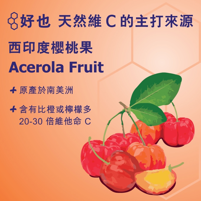 本頁圖片/檔案 - Hoyer-Acerola-Lozenge_web2