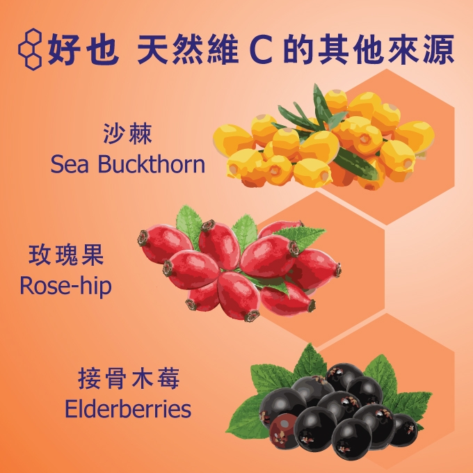 本頁圖片/檔案 - Hoyer-Acerola-Lozenge_web3