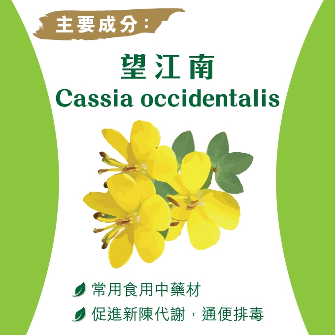 本頁圖片/檔案 - Digestive-Cleanse-Tablet-website-photo_1